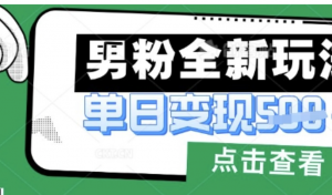 最新男粉暴力变现项目实操版教程，小白也能轻松上手，月入1w【揭秘)-阿鑫