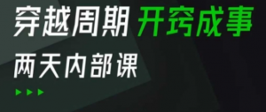 一人公司:流量变现课,一人公司的方法模型拆解, 拆解富人思维,流量思维,小老板思维等-阿鑫