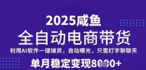 全网首发【闲鱼全自动电商带货】三年一剑,一朝露锋芒,单月稳定变现8k+【揭秘】-阿鑫