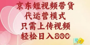 京东短视频带货，2025翻身项目，只需上传视频，单月稳定变现8k+【揭秘】-阿鑫