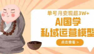 AI国学私域运营模型，单号月变现过W-阿鑫