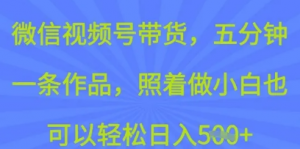 微信视频号带货，五分钟一条作品，照着做小自也可以轻松日入5张-阿鑫