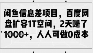 闲鱼信息差项目，百度网盘扩容1T空间，2天收益1k+，人人可做0成本-阿鑫