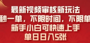 最新视频审核新玩法，10秒一单，不限时间，不限单量，新手小白可快速上手-阿鑫