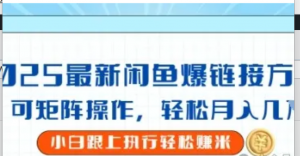 2025闲鱼最新爆链接玩法，可矩阵操作，轻松月入过W-阿鑫