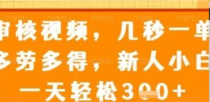 审核视频,几秒一单,多劳多得,新人小白一天轻松3张【揭秘)-阿鑫