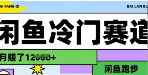 闲鱼冷门赛道，跑步挣钱，有人一个月挣 了1.2w-阿鑫