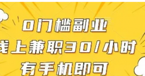 0门槛副业，线上兼职30一小时，有手机即可【揭秘】-阿鑫