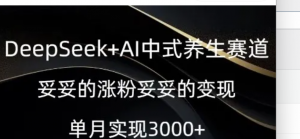 Deepseek+Al中式养生赛道，妥妥的涨粉妥妥的变现-阿鑫
