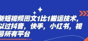 最新短视频图文1比1搬运技术，可以过抖音，快手，小红书，视频号所有平台-阿鑫