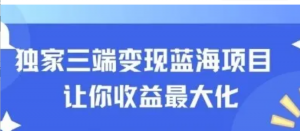 独家三端变现蓝海项目，让你收益最大化 长尾流无限躺挣-阿鑫