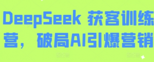 Deepseek获客训练营，破局AI引爆营销 -阿鑫