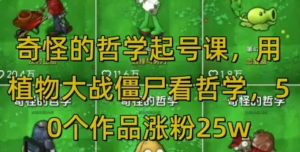 奇怪的哲学起号课，用植物大战僵尸看哲学，50个作品涨粉25w，暴力撸收益，全平台均可发布-阿鑫