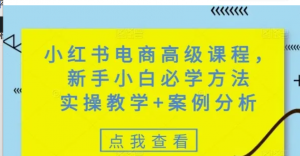 小红书电商高级课程，新手小自必学方法实操教学+案例分析-阿鑫