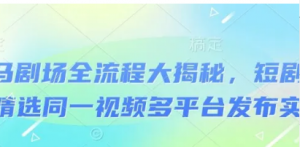 河马剧场全流程大揭秘，短剧爆款精选同一视频多平台发布实操-阿鑫
