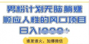 男粉计划无脑躺Z，顺应人性的风口项目，谁发谁火，加爆微信，日入多张【揭秘】-阿鑫