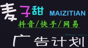 抖音,快手,网易广告计划项目形态及收益 -阿鑫