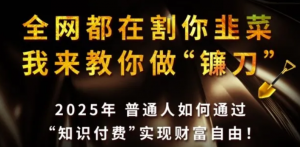 全网都在割你韭菜，我来教你做镰刀,2025普通人如何通过知识付费，实现财F自由 【揭秘】-阿鑫