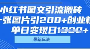 小红书图文引流搬砖，一张图片引200+创 业粉，单日变现日数张-阿鑫