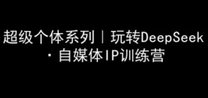 超级个体系列，玩转DeepSeek·自媒体IP训练营，deepseek教程-阿鑫