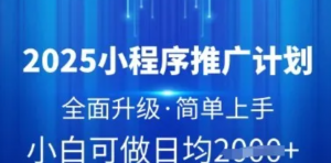 2025小程序推广计划，全面升级，简单上手，日均多张【揭秘)-阿鑫