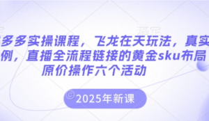 拼多多实操课程，飞龙在天玩法，真实案例，直播全流程链接的黄金sku布局原价操作六个活动-阿鑫