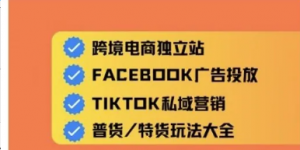跨境电商独立站及全域流量营销，从0基 础快速入门并精通跨境电商运营-阿鑫