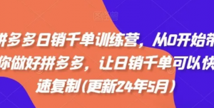 拼多多日销干单训练营，从0开始带你做好拼多多，让日销干单可以快速复制(更新25年2月)-阿鑫