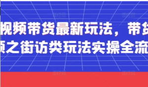 短视频带货最新玩法，带货视频之街访类玩法实操全流程-阿鑫