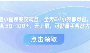 微信小程序变现项目，全天24小时都可做，单机30-100+，无上限，可批量手机放大-阿鑫