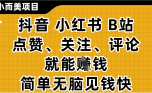 小而美的项目，抖音小红书B站视频点赞、关注、评论就能挣钱，简单无脑立见收益，妥妥的零撸项目【揭秘)-阿鑫