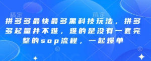 拼多多最快最多黑科技玩法，一套完整的SOP流程-阿鑫