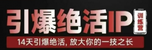 引爆绝活IP训练营，14天引爆绝活，放大你的一技之长-阿鑫