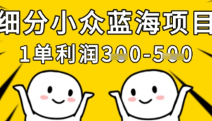 细分小众蓝海项目，一单利润3张，每月收 入稳定过1w+-阿鑫