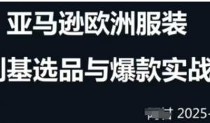 跨境电商选品案例24-25年，聚焦跨境电商选品策略与运营优化，助力卖家挖掘蓝海市 场-阿鑫
