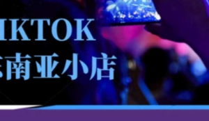 Tiktok东南亚跨境小店运营班，一门专业的TK小店运营培训课-阿鑫