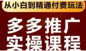 拼多多推广实操课程，从小白到精通付费玩 法-阿鑫