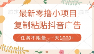 最新零撸小项目，复制粘贴抖音广告即可挣钱，平台大水，任务不限量，一天数张【揭秘】-阿鑫