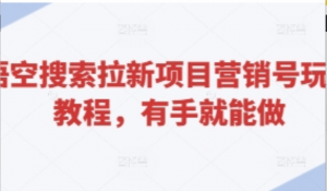 悟空搜索拉新项目营销号玩法教程，有手就 能做-阿鑫