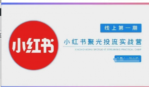 小红书聚光陪跑第一期，教你从0到1玩转小红书聚光投流，搭建小红书付费投流团队，更快的见到效果-阿鑫