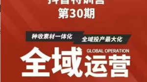 抖音特训营第30期线下培训资料，没有录音视频，正版整理的脑图资料及学员总结核 心点-阿鑫