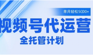 视频号代运营2.0，全程托管招募，单月轻松变现5k【揭秘-阿鑫