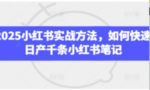 2025小红书实战方法，如何快速日产干条 小红书笔记-阿鑫