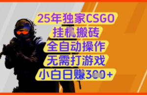 25年独家CSGO挂G搬砖，全自动操作无需打游戏，小白日入3张+【揭秘】-阿鑫