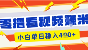 零撸看视频躺Z项目，看一个20秒的视频获得 0.3 米，小白一天收益几张，看得越多奖励权重越高-阿鑫