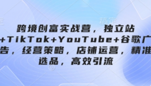 跨境创富实战营，独立站、TikTok+YouTube+谷歌广告，经营策略店铺运营，精准选品，高效引流-阿鑫