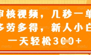 最新审核视频，几秒一单，多劳多得，新人小白一天轻松3张【揭秘)-阿鑫