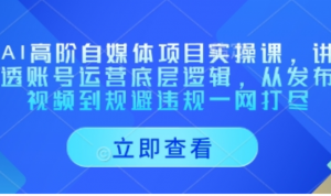 AI高阶自媒体项目实操课,讲透账号运营底层逻辑,从发布视频到规避违规一网打尽-阿鑫