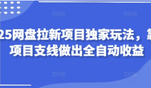 2025网盘拉新项目独家玩法，靠主项目支 线做出全自动收益-阿鑫