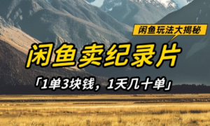 闲鱼卖纪录片1单3块钱，1天几十单，项 目稳定有潜力-阿鑫